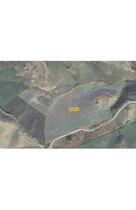 LAND IN CDA BISSANA WITH COUNTRY HOUSE AND LAKE